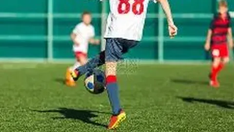 PA真人 产品 221434 fas