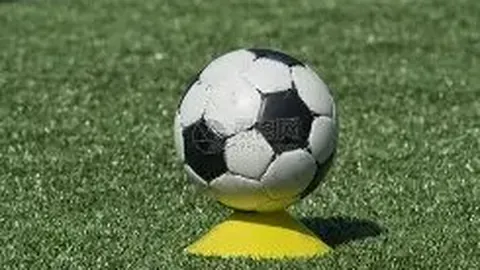 PA真人 产品 085205 pkp