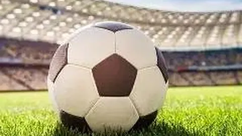 PA真人 产品 085214 tyf