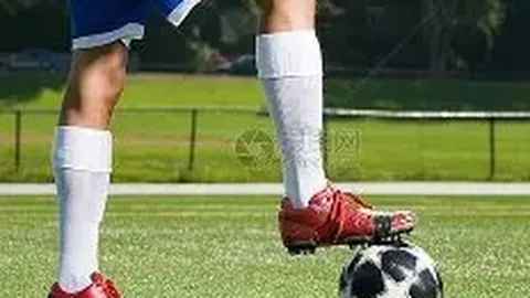 PA真人 产品 144230 6ak