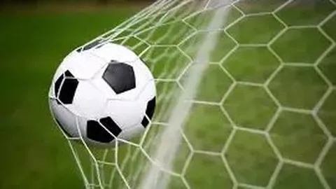 PA真人 产品 144402 cy5