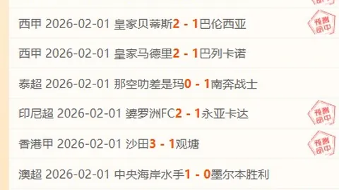 国产galgame百万销量续作18888元引争议